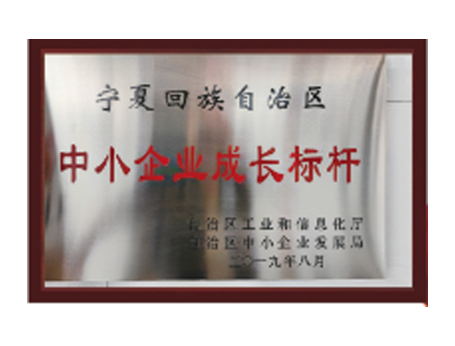 中小企業(yè)成長(zhǎng)標(biāo)桿