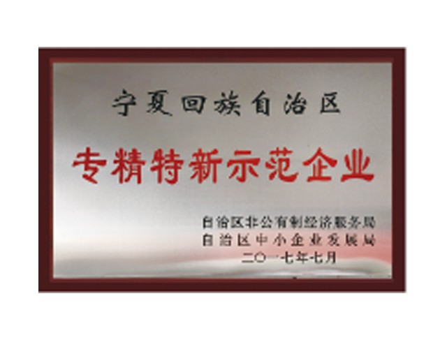 我司評為自治區專精特新企業